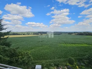 Prodej bytu 1+1, Chyšky, 77 m2