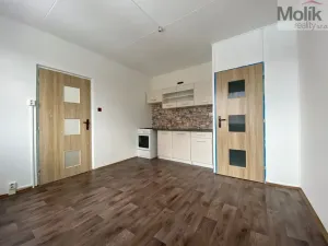 Pronájem bytu 1+1, Chomutov, Kundratická, 38 m2