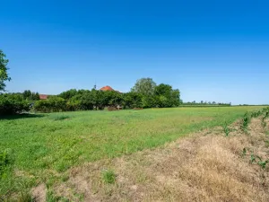 Prodej pozemku pro bydlení, Skalice - Číbuz, 1500 m2