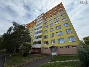 Prodej bytu 2+kk, Most, Josefa Ševčíka, 40 m2