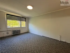 Prodej bytu 2+kk, Most, F. L. Čelakovského, 40 m2