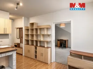 Pronájem bytu 2+kk, Ústí nad Labem - Střekov, Tolstého, 39 m2