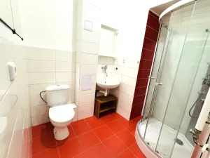 Pronájem bytu 2+kk, Plzeň - Jižní Předměstí, Klatovská třída, 48 m2