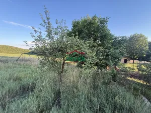 Prodej zahrady, Braňany, Pod Školou, 541 m2