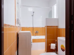 Prodej bytu 2+1, České Budějovice - České Budějovice 2, Větrná, 62 m2