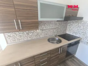 Pronájem bytu 1+kk, Ústí nad Labem - Krásné Březno, Dr. Horákové, 32 m2