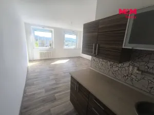 Pronájem bytu 1+kk, Ústí nad Labem - Krásné Březno, Dr. Horákové, 32 m2