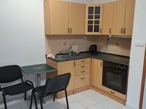 Prodej bytu 1+kk, Kladno, Ctiborova, 24 m2