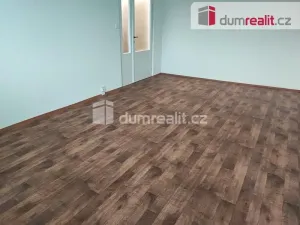 Pronájem bytu 1+1, Spálené Poříčí, Zámecká, 39 m2