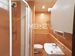 Pronájem bytu 2+1, Orlová - Lutyně, F. S. Tůmy, 44 m2