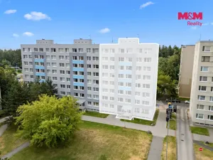 Prodej bytu 1+kk, Kladno - Kročehlavy, V Bažantnici, 26 m2