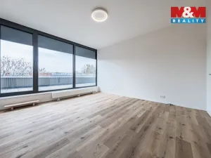 Pronájem obchodního prostoru, Praha - Petrovice, Ohmova, 44 m2