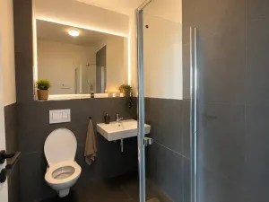 Prodej rodinného domu, Frymburk, 240 m2