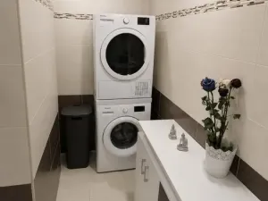 Pronájem bytu 3+1, Most, U Věžových domů, 63 m2