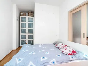 Prodej bytu 2+kk, Praha - Vinohrady, Velehradská, 50 m2
