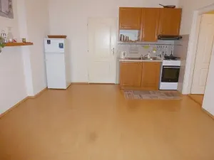 Pronájem bytu 2+kk, Praha - Vinohrady, Mánesova, 45 m2
