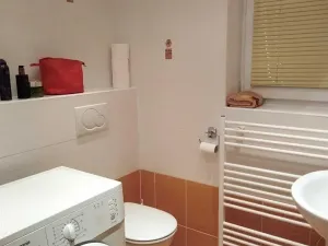 Pronájem bytu 2+kk, Železná Ruda, 37 m2