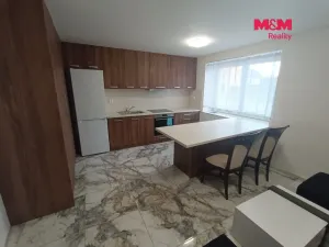 Pronájem bytu 1+1, Krčmaň, Náves, 37 m2