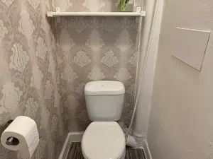 Pronájem bytu 1+1, Frýdek-Místek, Petra Cingra, 44 m2