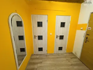 Prodej bytu 4+1, Most, Františka Malíka, 88 m2