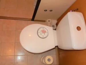 Pronájem bytu 2+1, Třebíč - Nové Dvory, Dukovanská, 58 m2