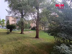 Prodej bytu 2+1, Karviná - Ráj, Haškova, 54 m2