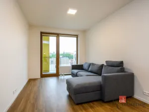 Pronájem bytu 2+kk, Plzeň - Východní Předměstí, Pallova, 56 m2
