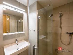 Pronájem bytu 2+kk, Plzeň - Východní Předměstí, Pallova, 56 m2