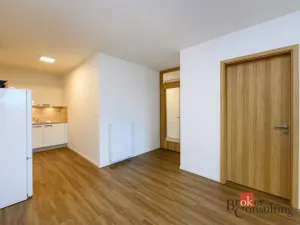 Pronájem bytu 2+kk, Plzeň - Východní Předměstí, Pallova, 56 m2