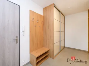 Pronájem bytu 2+kk, Plzeň - Východní Předměstí, Pallova, 56 m2