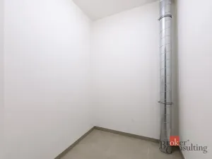 Pronájem bytu 2+kk, Plzeň - Východní Předměstí, Pallova, 56 m2