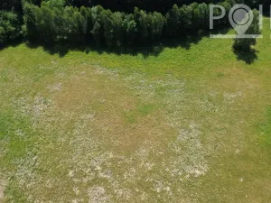 Prodej komerčního pozemku, Gruna - Žipotín, 3632 m2