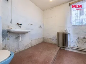 Prodej chalupy, Oselce, 176 m2