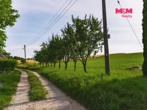 Prodej rodinného domu, Javornice - Jaroslav, 218 m2