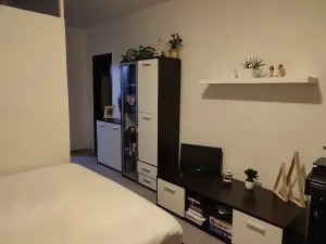 Prodej bytu 1+kk, Praha - Hloubětín, Rochovská, 30 m2
