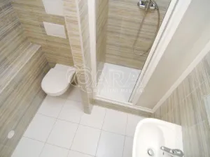 Pronájem bytu 1+kk, Praha - Karlín, Nekvasilova, 27 m2