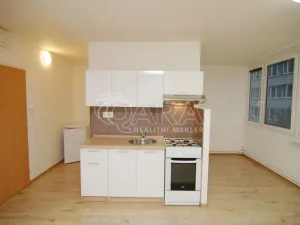 Pronájem bytu 1+kk, Praha - Karlín, Nekvasilova, 27 m2