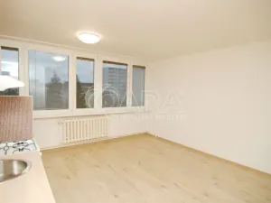 Pronájem bytu 1+kk, Praha - Karlín, Nekvasilova, 27 m2