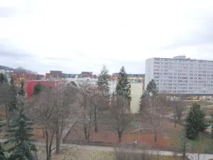 Pronájem bytu 1+kk, Praha - Karlín, Nekvasilova, 27 m2