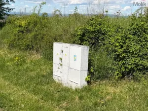 Prodej pozemku pro bydlení, Skršín, 897 m2