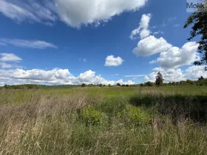 Prodej pozemku pro bydlení, Skršín, 906 m2