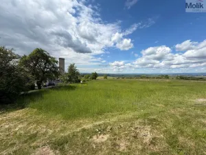 Prodej pozemku pro bydlení, Skršín, 902 m2