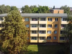 Prodej bytu 2+1, Karviná, Borovského, 58 m2