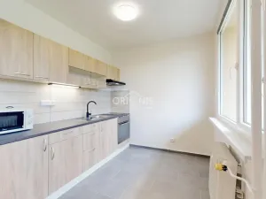 Prodej bytu 1+1, Most, Brněnská, 34 m2