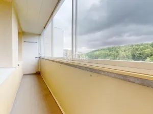 Prodej bytu 1+1, Most, Brněnská, 34 m2