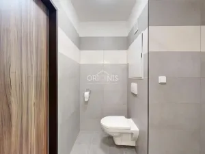 Prodej bytu 1+1, Most, Brněnská, 34 m2