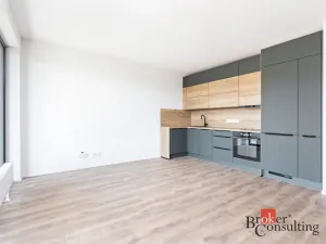 Pronájem bytu 1+kk, Plzeň - Východní Předměstí, Kartónová, 35 m2