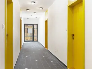 Pronájem bytu 1+kk, Plzeň - Východní Předměstí, Kartónová, 35 m2