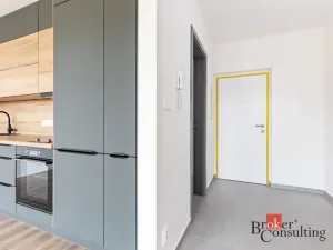 Pronájem bytu 1+kk, Plzeň - Východní Předměstí, Kartónová, 35 m2