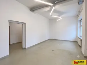 Pronájem skladu, Brno - Husovice, 240 m2